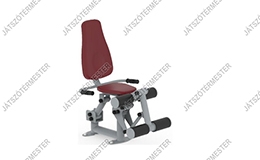 Leg extension Leg extension